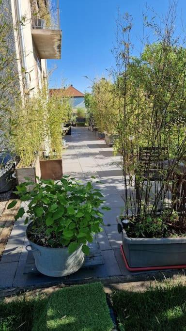 Appartamento Gite La Passerelle Ostheim Esterno foto
